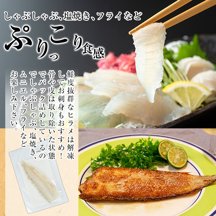 A0-331 鹿児島県産！薩摩隼人ひらめ230g以上(2〜3P)【MBC開発】