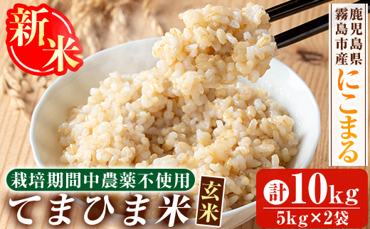K-391-C 令和7年産新米 てまひま米・玄米(品種:にこまる)(計10kg)【末蜜農園】霧島市 お米 玄米 米 こめ コメ ご飯 ごはん 定期便 栽培期間中農薬不使用