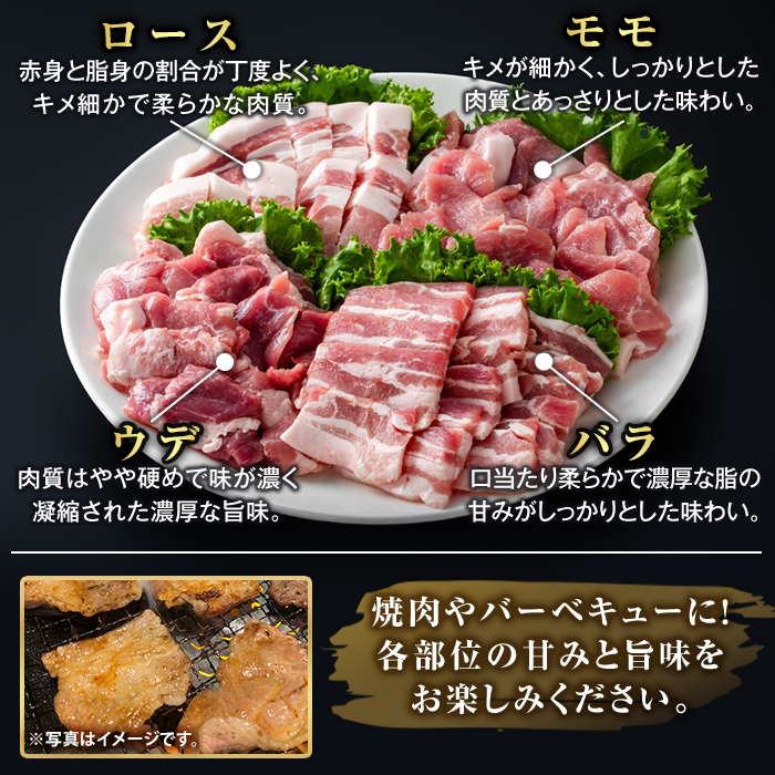 K-379-D ïŒ3åå®æäŸ¿ïŒé¹¿å
å³¶çç£ééãããè± çŒèçšãã©ãšãã£ã»ãã(èš3kg)ããµãããšç£çŽãã¶ãŒã«ãé§å³¶åž ããŒã¹ ãã© ãŠã ã¢ã¢ çŒãè ã€ãã㯠è±è åœç£ 鹿å
å³¶çç£ è 粟è å°åã ã»ãã é£ã¹æ¯ã¹ å®æäŸ¿