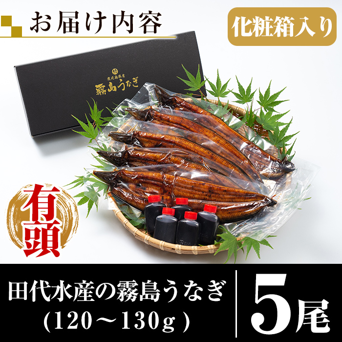 C-077-RT ＜冷凍でお届け＞霧島市育ちのあの「うなぎ」120～130g×5尾【田代水産】霧島市 鰻 ウナギ 蒲焼き 蒲焼 国産