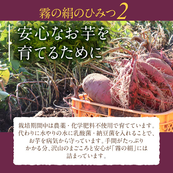 K-278-B 《先行予約受付中！2024年12月～2025年3月中旬迄に発送予定》鹿児島霧島のさつまいも「霧の絹」5kg【オーガランド】さつまいも サツマイモ さつま芋 芋 シルクスイート 生芋 土付き
