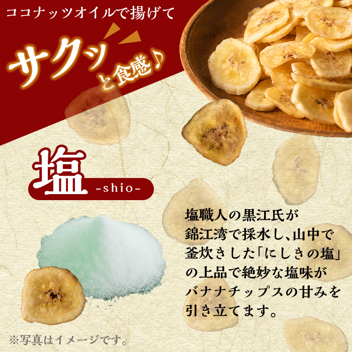 A0-251 錦江湾の自然塩をまぶした塩バナナチップス(合計約1.1kg・140g×8袋)【かわいち国分】