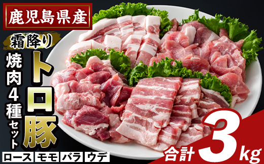 K-379-C 鹿児島県産霜降りトロ豚 焼肉用バラエティセット(合計3kg)【KNOT】霧島市 ロース バラ ウデ モモ 焼き肉 ヤキニク 豚肉 国産 鹿児島県産 肉 精肉 小分け セット 食べ比べ