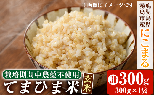 K-391-A 《令和6年産》てまひま米・玄米(品種：にこまる)(計300g：300g×1袋)【末蜜農園】 霧島市 お米 玄米 米 こめ コメ ご飯 ごはん 定期便 栽培期間中農薬不使用