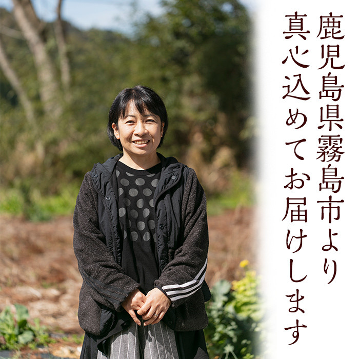 A0-228 é§å³¶ããŸãããã¥ãã(èš4ç¹)ãéäžç°èŸ²åååäŒç€Ÿã