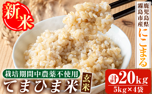 K-391-D 令和7年産新米 てまひま米・玄米(品種:にこまる)(計20kg)【末蜜農園】霧島市 お米 玄米 米 こめ コメ ご飯 ごはん 定期便 栽培期間中農薬不使用