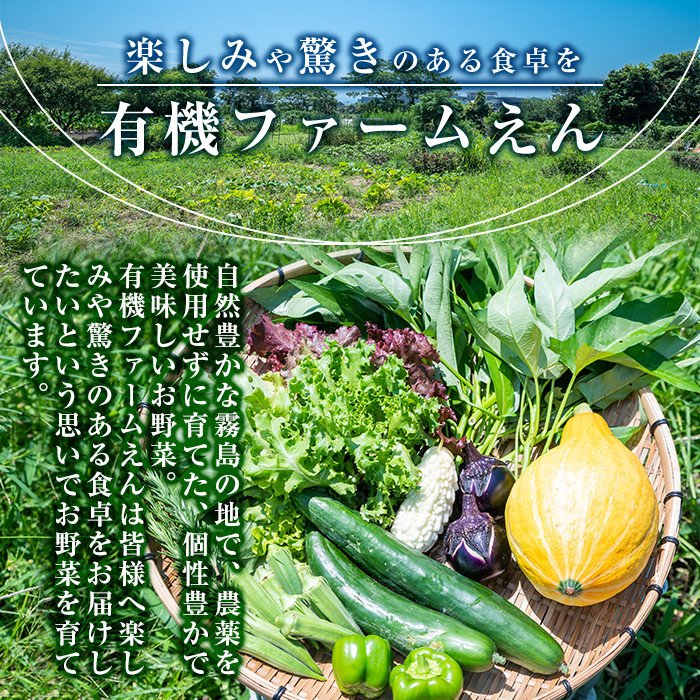 A2-011 霧島産！旬の野菜セット(季節の野菜10品)【有機ファームえん】
