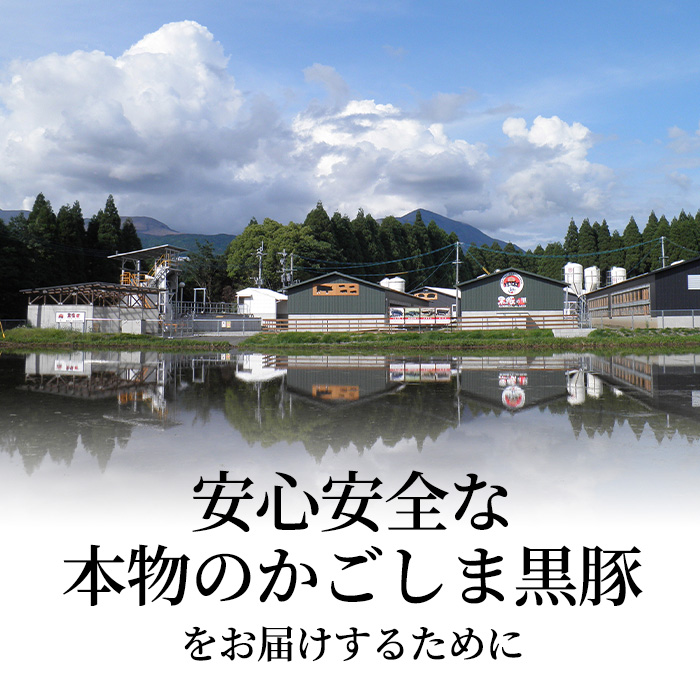 C-011 ＜年内発送＞霧島高原純粋黒豚特選しゃぶしゃぶ1kgとソーセージ・ひとくち餃子セット【霧島高原ロイヤルポーク】