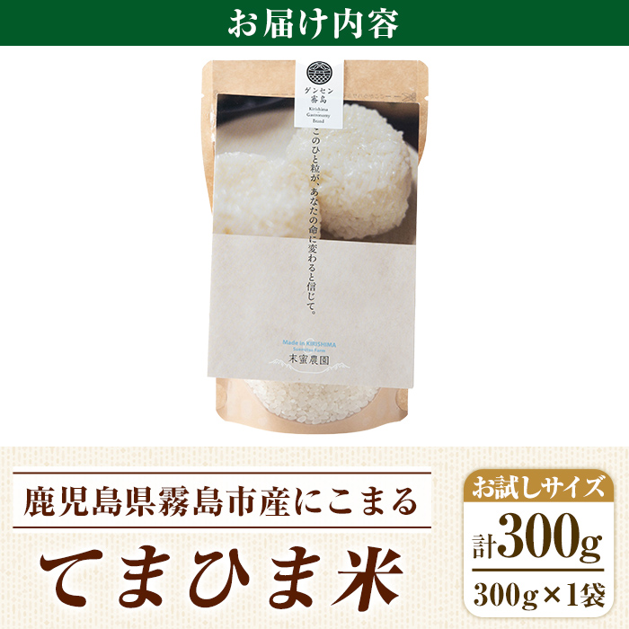 K-198-A 《令和6年産・新米》てまひま米(品種:にこまる)(計300g：300g×1袋)【末蜜農園】霧島市 お米 精米 白米 米 こめ コメ ご飯 ごはん 栽培期間中農薬不使用