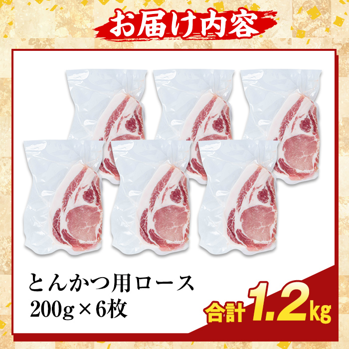 K-373-B ããããŸå³ããé»è± ãšããã€çšããŒã¹èã»ãããã€(èš1.2kg)ããµãããšç£çŽãã¶ãŒã«ãé§å³¶åž ããŒã¹ ãã³ã«ã è±ã«ã ãã³ãã è±è åœç£ 鹿å
å³¶çç£ è 粟è å°åã