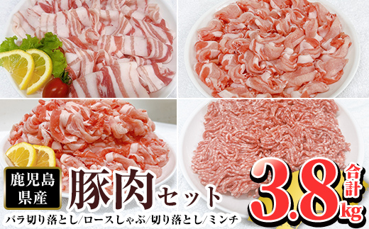 K-309 鹿児島県産豚肉バラエティーセット (計3.8kg) 【TRINITY】霧島市 国産 冷凍 小分け 豚肉 ぶた ブタ 肉 バラ肉 バラ ロース 肩ロース 切り落し ミンチ セット