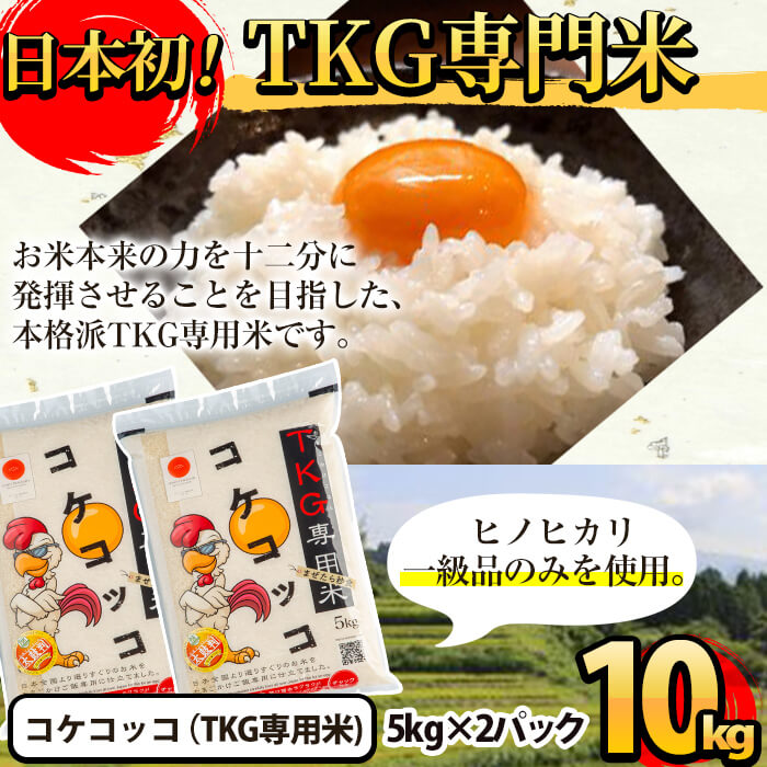 B-108 卵かけご飯専用米!コケコッコ(TKG専用米)計10kg(5kg×2パック)【山口米店】