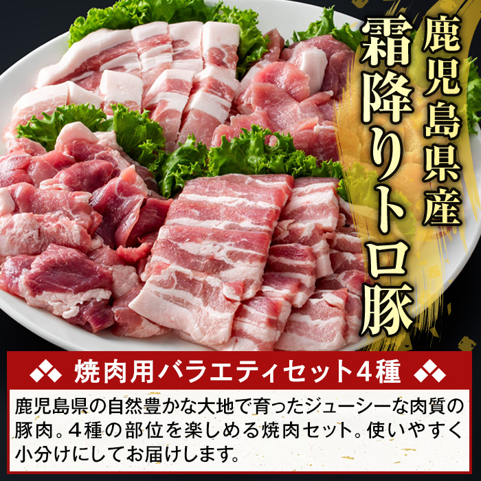 K-379-A 鹿児島県産霜降りトロ豚 焼肉用バラエティセット(合計1kg)【ふるさと産直バザール】霧島市 ロース バラ ウデ モモ 焼き肉 ヤキニク 豚肉 国産 鹿児島県産 肉 精肉 小分け セット 食べ比べ