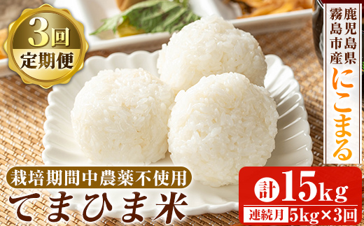 K-198-E 【3回定期便】令和7年産 てまひま米(品種:にこまる)(計15kg：5kg×3回)【末蜜農園】霧島市 お米 精米 白米 米 こめ コメ ご飯 ごはん 定期便 栽培期間中農薬不使用