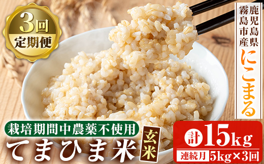 K-391-E 【3回定期便】令和7年産 てまひま米・玄米(品種:にこまる)(計15kg：5kg×3回)【末蜜農園】霧島市 お米 玄米 米 こめ コメ ご飯 ごはん 定期便 栽培期間中農薬不使用