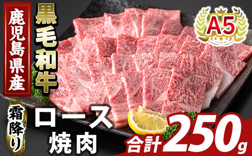 K-482-A 鹿児島県産A５等級黒毛和牛霜降り上ロース焼肉(計250g)【ふるさと産直バザール】霧島市 牛肉 国産 鹿児島県産 ロース 焼肉 肉 精肉