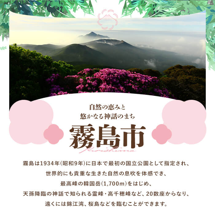 K-413 鹿児島県霧島市の対象ツアーに使えるHISふるさと納税クーポン(6,000円分)【エイチ・アイ・エス】霧島市 旅行 ツアー 観光 トラベル 旅 チケット 電子クーポン 旅行券