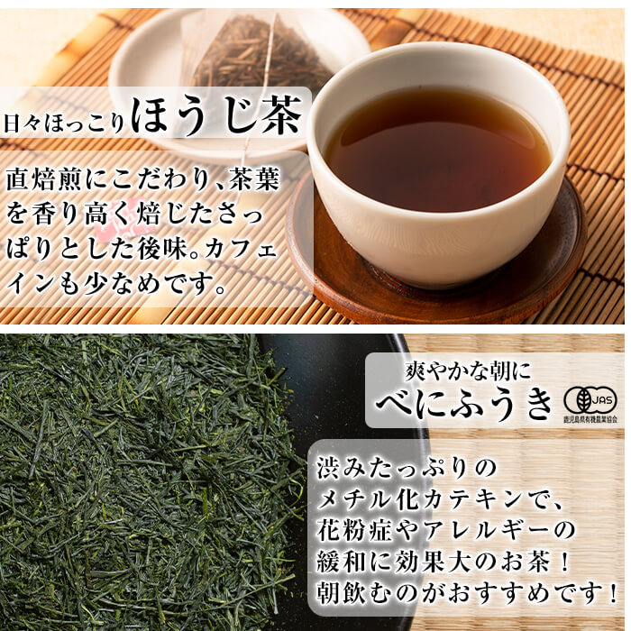 A-181 Tea time in KIRISHIMA(計40P・各10P×4種)【松山産業】