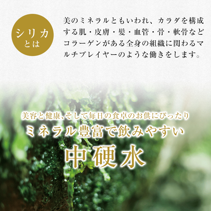 C-021 ＜定期便・全6回＞関平鉱泉水20L×1箱ずつお届け(計6箱)【関平鉱泉所】 霧島市 シリカ シリカ水 水 シリカミネラルウォーター