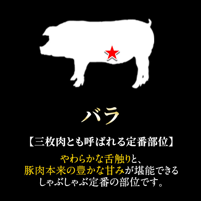 B-113 鹿児島黒豚しゃぶしゃぶ詰合せ(ロース肉・バラ肉・こだわりのスープの素・ラーメン付)【九面屋】