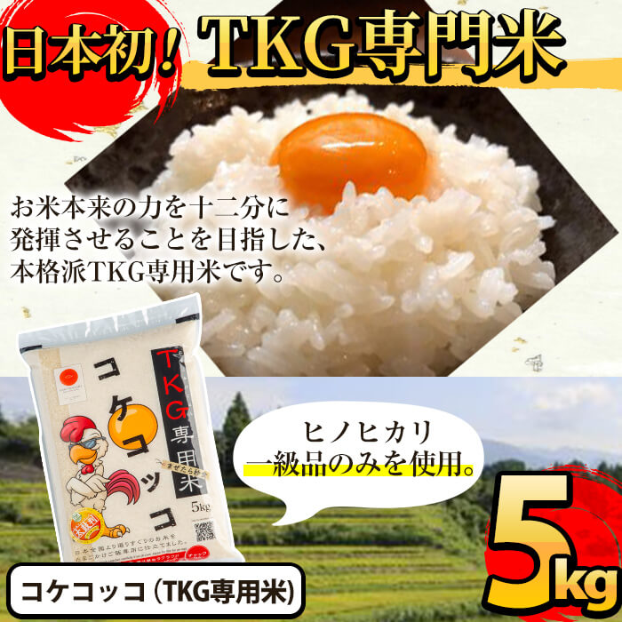 A-153 卵かけご飯専用米!コケコッコ(TKG専用米)計5kg【山口米店】