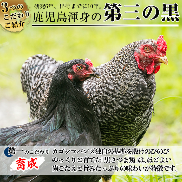 B-095 黒さつま鶏しゃぶしゃぶセット(4〜5人前)【カゴシマバンズ】