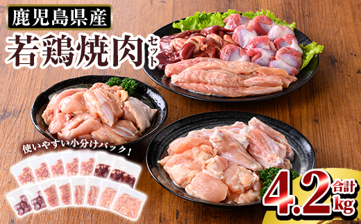 K-221 鹿児島県産 若鶏焼肉セット (合計4.2kg)【TRINITY】