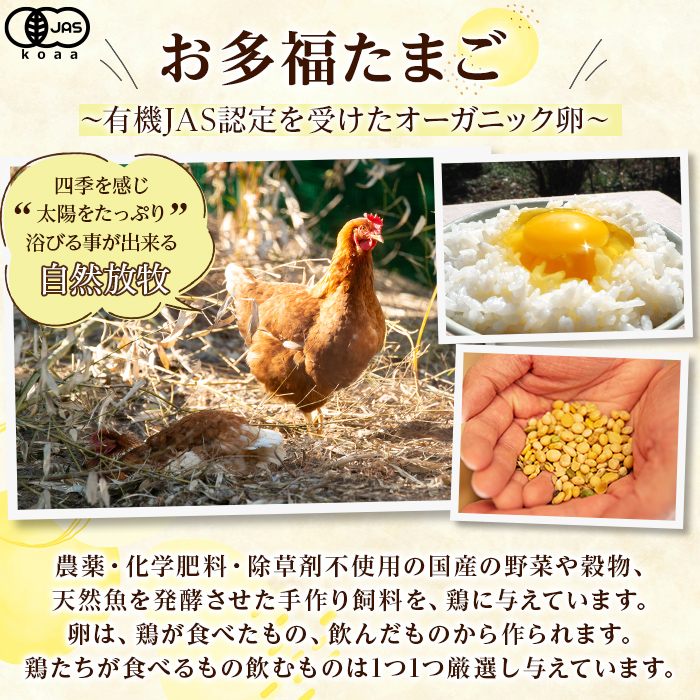 K-172-A 走る鶏の濃厚プリン(93g×12個) 【お多福たまご】霧島市 プリン ぷりん スイーツ デザート おやつ