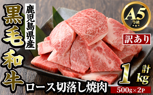 K-321-A ＜訳あり・不揃い＞鹿児島県産黒毛和牛＜A5等級＞ロース切り落とし焼肉(計1kg・500g×2P)【ビーフ倉薗】霧島市 牛肉 ヤキニク 焼き肉 国産 鹿児島県産 黒毛和牛 肉 精肉 牛