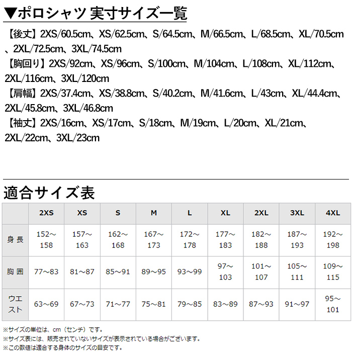 C0-116-03 《霧島市ふるさと納税限定品》ミズノ・薩摩切子柄ポロシャツ(ブラック・L)【ミズノ】