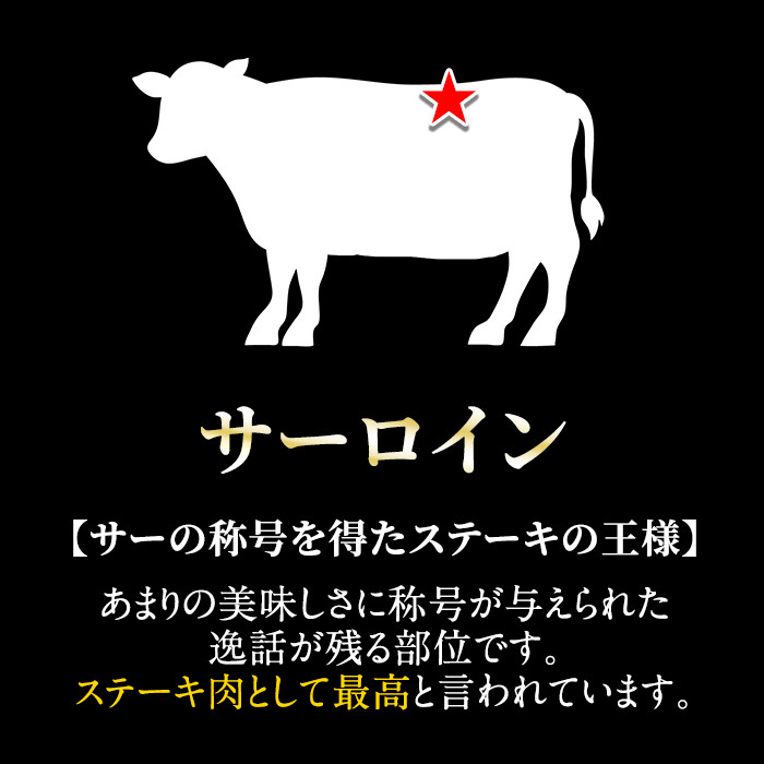 C-079 鹿児島県産黒毛和牛サーロインステーキ200ｇ×3枚セット(Ａ-5等級)【九面屋】