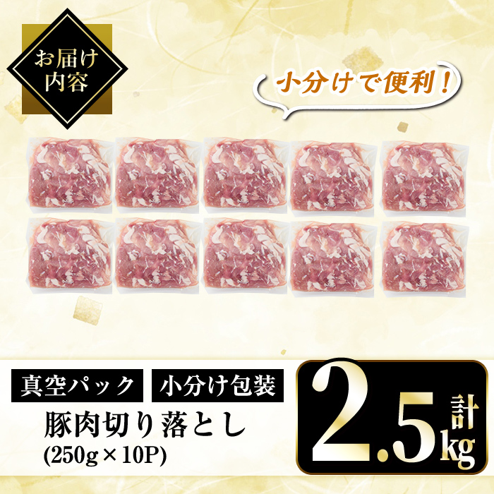 A5-033-B 国産！鹿児島県産豚肉切り落とし真空小分け 250g×10P(計2.5kg)【肉の豊楽】霧島市 豚肉 ぶたにく 豚 小分け 切り落とし 真空パック 切落し 冷凍