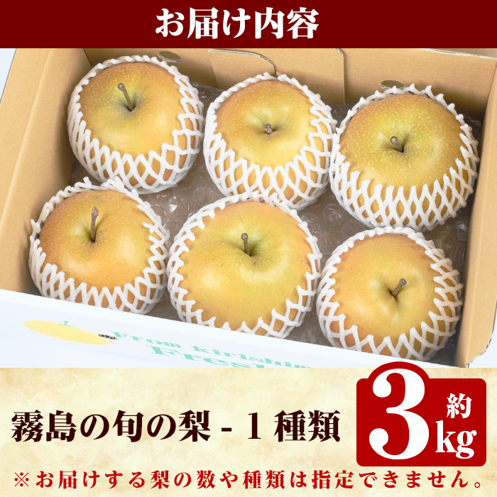 A0-266 ＜期間限定！2024年8月中旬～11月中旬頃発送予定＞霧島の旬の梨(約3kg・1種類)【岩元農園】