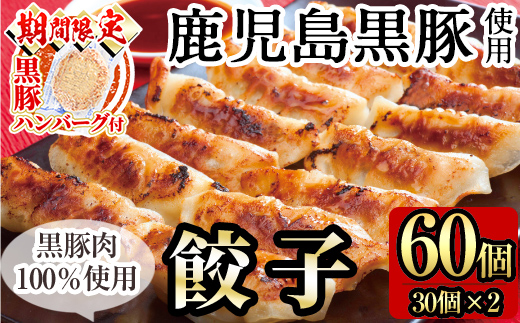 A-109 ＜期間限定！黒豚ハンバーグ付＞鹿児島黒豚餃子60個(30個×2)【九面屋】