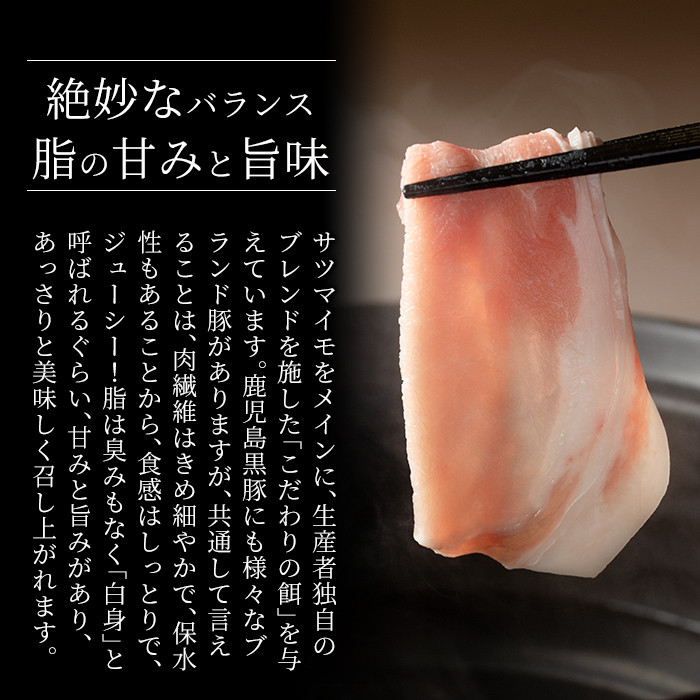 A-044-A 《3回定期便》鹿児島黒豚 霧島神話豚レトルトカレー ＜160g×5食＞×3回 計15食【富士食品】霧島市 カレー レトルトカレー カレーライス ポークカレー レトルト食品 鹿児島黒豚 熟成カレー 豚肉 ブランド 霧島神話豚 常温保存 温めるだけ 定期便