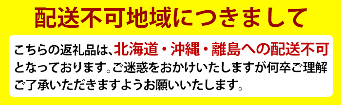 A0-248 ＜期間限定！2024年8月下旬〜10月中旬の間に発送予定＞《訳あり・数量限定》シャインマスカット入り旬のぶどう・ご家庭用詰め合わせ(計1.3kg以上・3房以上)【二月田ぶどう園】