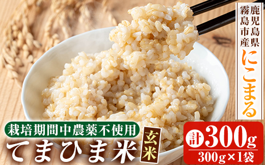 K-391-A 《令和6年産》てまひま米・玄米(品種：にこまる)(計300g：300g×1袋)【末蜜農園】 霧島市 お米 玄米 米 こめ コメ ご飯 ごはん 栽培期間中農薬不使用