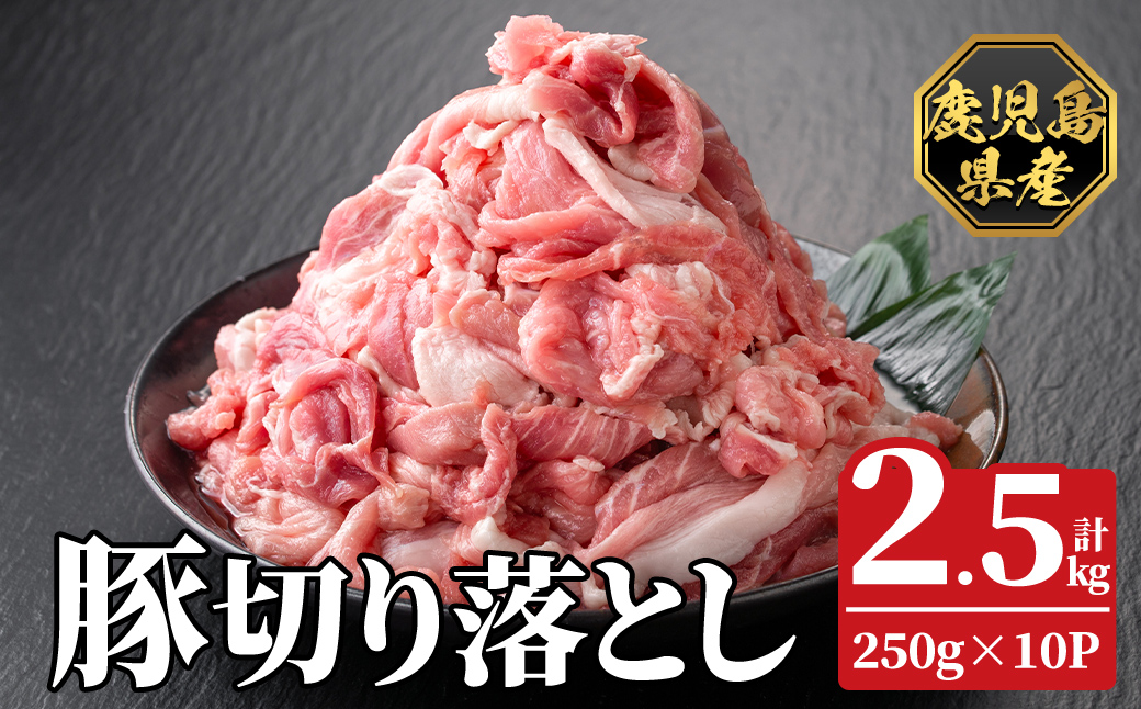 K-618-B 鹿児島県産豚切り落とし 真空パック250g×10P(計2.5kg)【ハピネス】霧島市 肉 豚肉 豚 精肉 鹿児島県産 切り落とし セット 小分け 冷凍