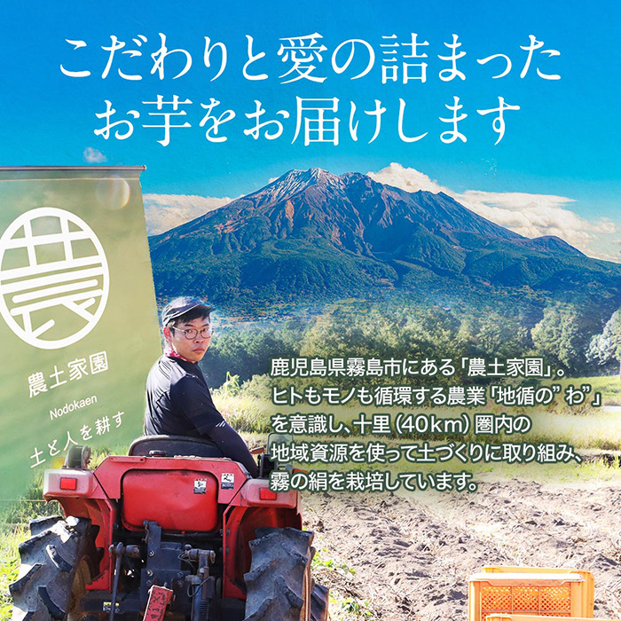 K-278-A 《先行予約受付中！2024年12月～2025年3月中旬迄に発送予定》鹿児島霧島のさつまいも「霧の絹」2kg【オーガランド】さつまいも サツマイモ さつま芋 芋 シルクスイート 生芋 土付き