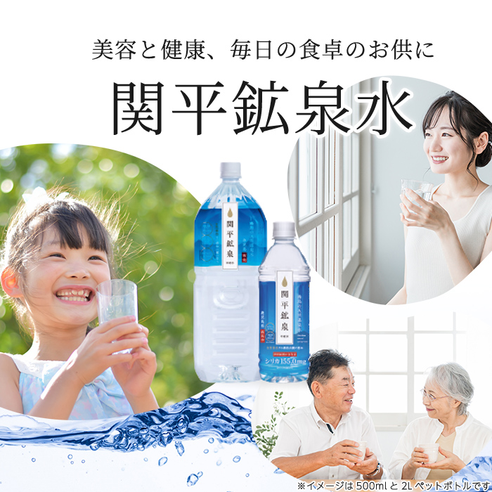 A-031 関平鉱泉水500mlペットボトル(計24本)【関平鉱泉所】霧島市 水 ミネラルウォーター 温泉水 シリカ シリカ水 ミネラル成分 飲料水 500