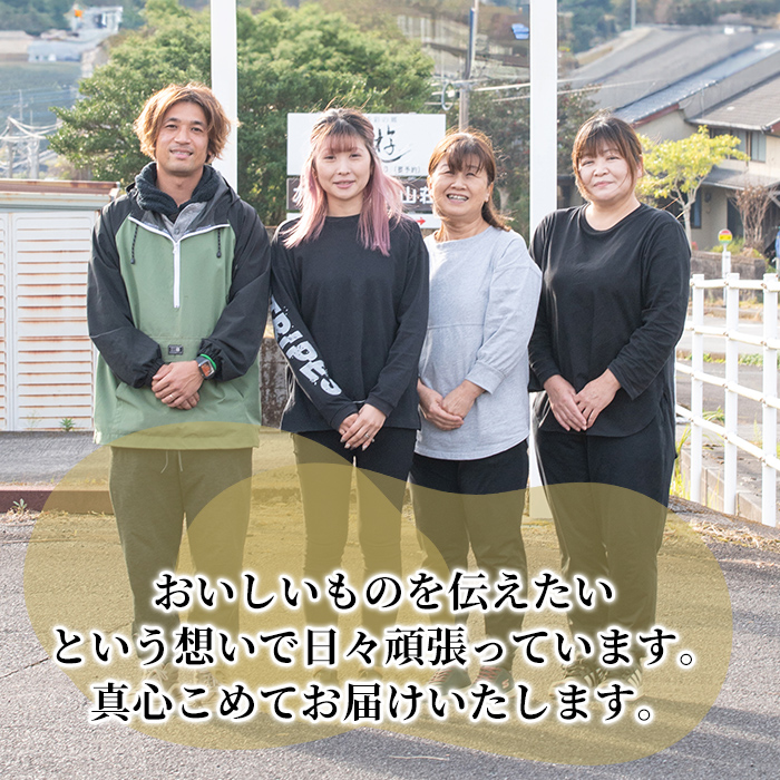 A2-028 ＜先行予約受付中！2024年10月中旬以降順次発送＞鹿児島県産＜シルクスイート＞土付き(10kg)【フレッシュジャパン鹿児島】