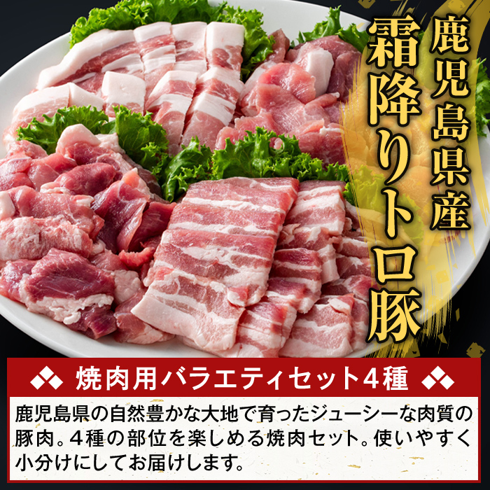 K-379-D ïŒ3åå®æäŸ¿ïŒé¹¿å
å³¶çç£ééãããè± çŒèçšãã©ãšãã£ã»ãã(èš3kg)ããµãããšç£çŽãã¶ãŒã«ãé§å³¶åž ããŒã¹ ãã© ãŠã ã¢ã¢ çŒãè ã€ãã㯠è±è åœç£ 鹿å
å³¶çç£ è 粟è å°åã ã»ãã é£ã¹æ¯ã¹ å®æäŸ¿