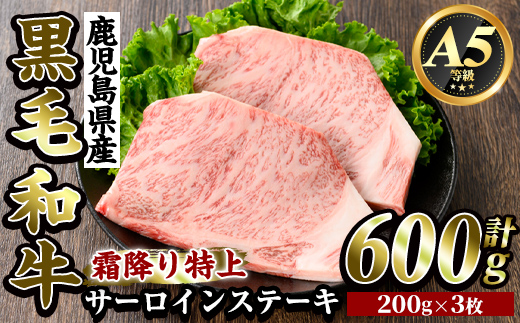 K-318-B 鹿児島県産黒毛和牛＜A5等級＞霜降り特上サーロインステーキ(600g)【ビーフ倉薗】霧島市 牛肉 ステーキ ステーキ肉 国産 鹿児島県産 黒毛和牛 肉 精肉 牛