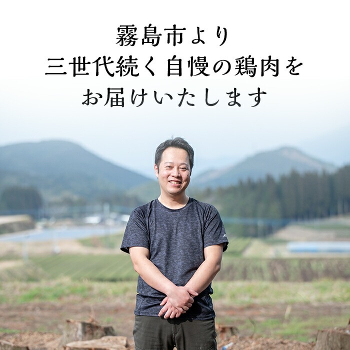 K-574 《訳あり》三世代続く鶏肉店の鶏刺し 未カット3種食べ比べセット(計1kg・もも400g、ムネ300g、ササミ300g)【海江田鶏肉店】霧島市 鳥刺し 鳥肉 鶏肉 モモ ムネ もも肉 むね肉 胸肉 ささみ ブロック 刺身 食べ比べ セット おつまみ