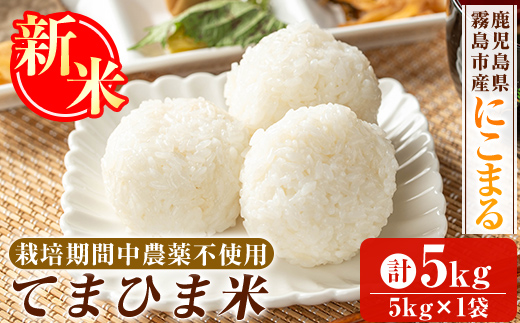 K-198-B 令和7年産新米 てまひま米(品種:にこまる)(計5kg)【末蜜農園】霧島市 お米 精米 白米 米 こめ コメ ご飯 ごはん 栽培期間中農薬不使用