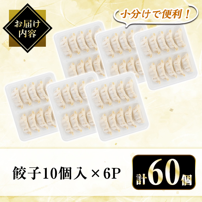 A3-008 国産！鹿児島県産黒豚餃子60個(10個入×6P)【肉の豊楽】