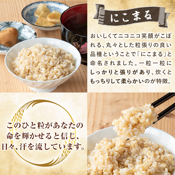 K-391-E 【3回定期便】令和7年産新米 てまひま米・玄米(品種:にこまる)(計15kg：5kg×3回)【末蜜農園】霧島市 お米 玄米 米 こめ コメ ご飯 ごはん 定期便 栽培期間中農薬不使用