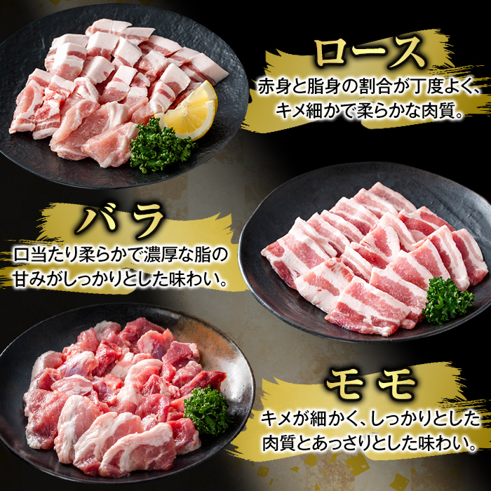 K-367-C かごしま味わい黒豚 さつま焼肉コース(合計2.7kg)【ふるさと産直バザール】霧島市 ロース バラ モモ 焼き肉 ヤキニク 豚肉 国産 鹿児島県産 肉 精肉 小分け セット 食べ比べ