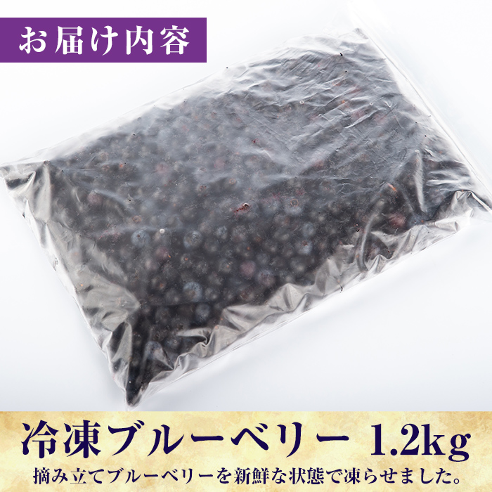 A-050 霧島市産ブルーベリー1.2kg(冷凍)【霧島農産加エグループふきのとう】