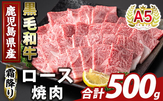 K-482-B 鹿児島県産A５等級黒毛和牛霜降り上ロース焼肉(計500g)【ふるさと産直バザール】霧島市 牛肉 国産 鹿児島県産 ロース 焼肉 肉 精肉